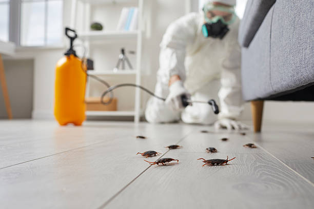 Commercial Kitchen Cockroach Control in Madill